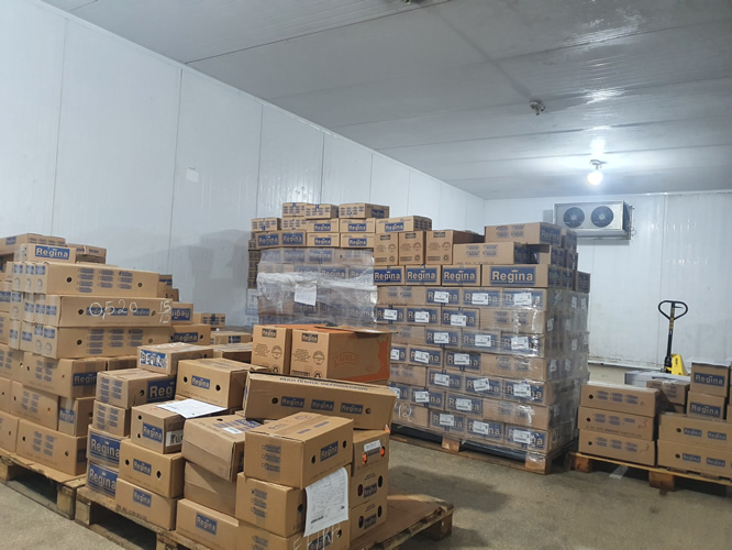 avicarne-armazenagem-crossdocking-logistica-13-1.jpg